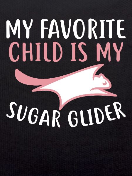 Sugar glider