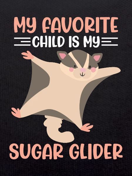 Sugar glider