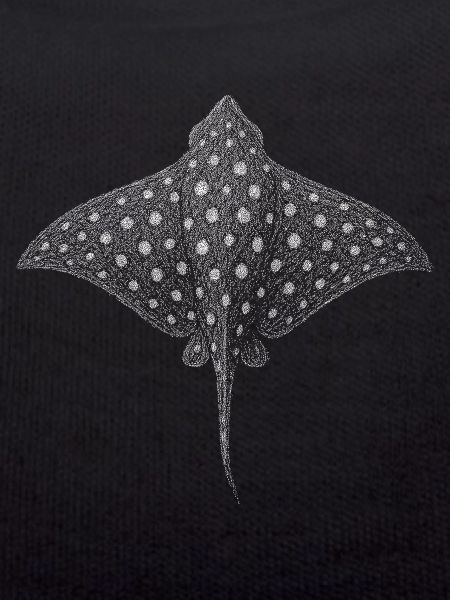 Spotted Eagle Ray