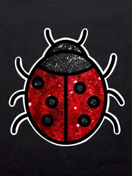 Cosmic Ladybug