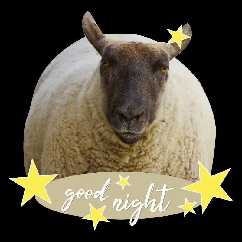 sheep good night