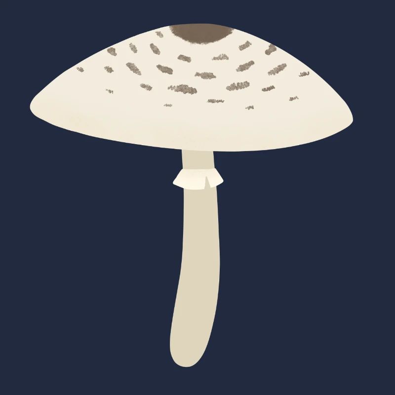 Parasol
