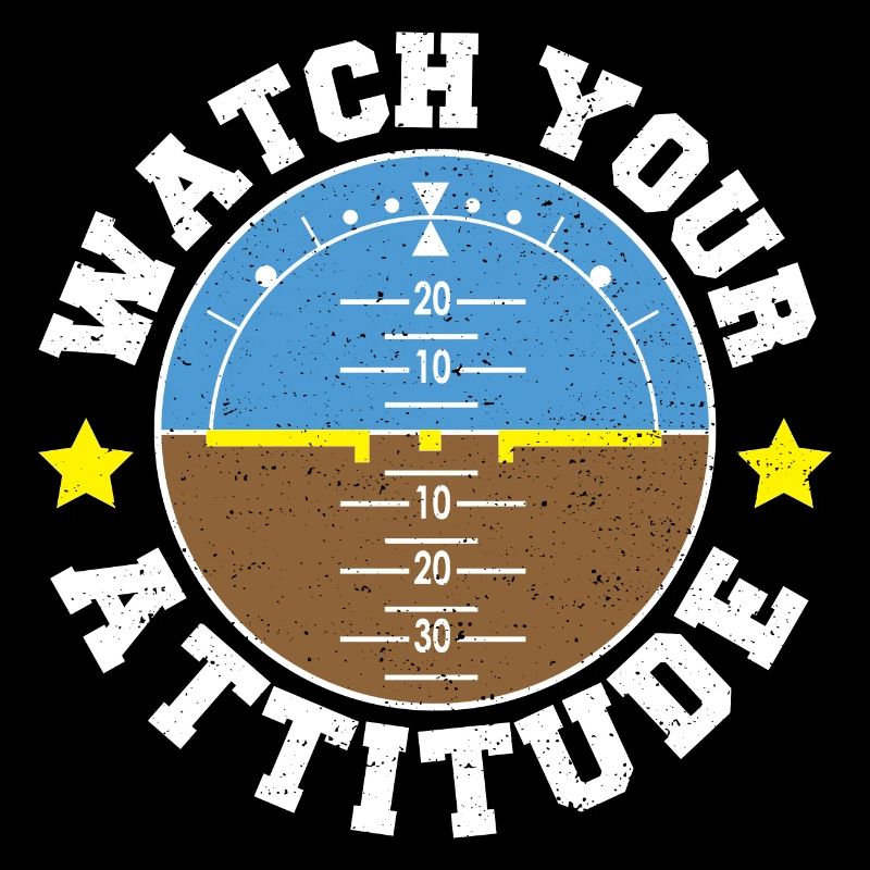 Watch Your Attitude - Pilot