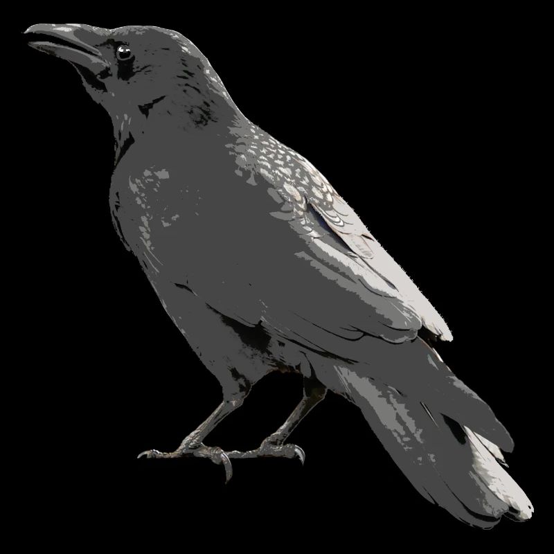 Corbeau