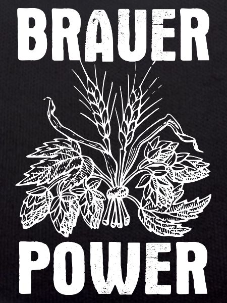 Brauer Power