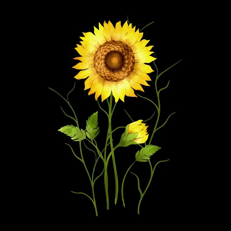 Sonnenblume