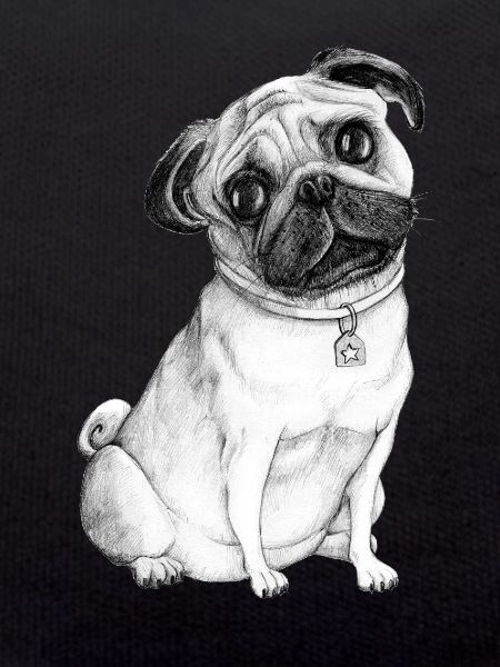 Pug Dog