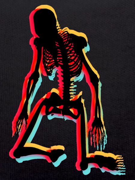 Skeleton