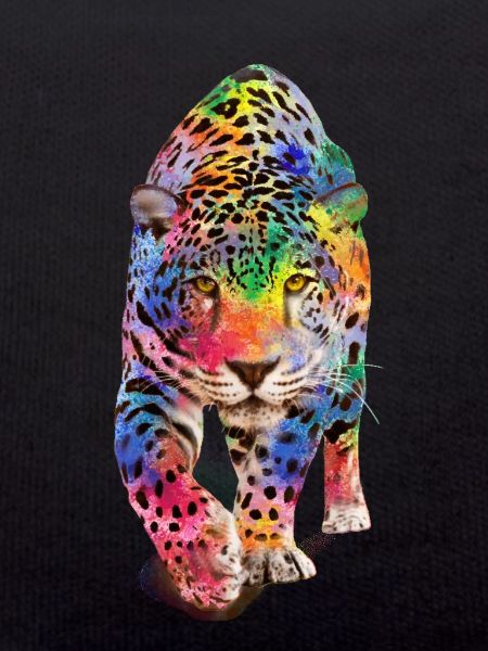 Mehrfarbiger Leopard