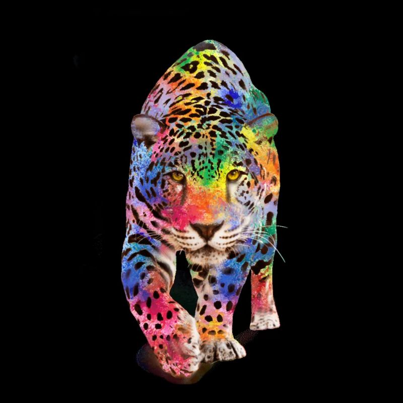 Léopard multicolore