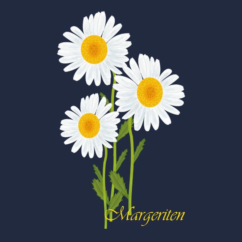 Margeriten, Blumen