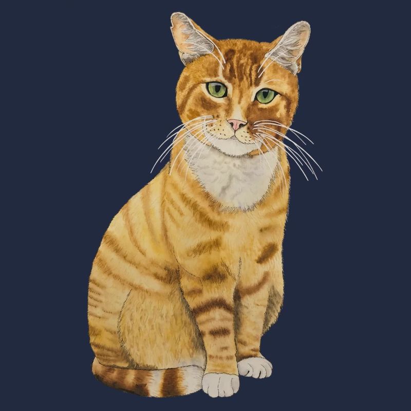 rote Katze sitzend