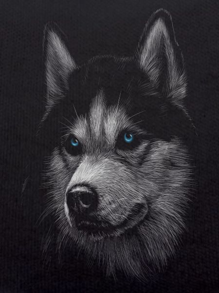 Wolf with blue eyes