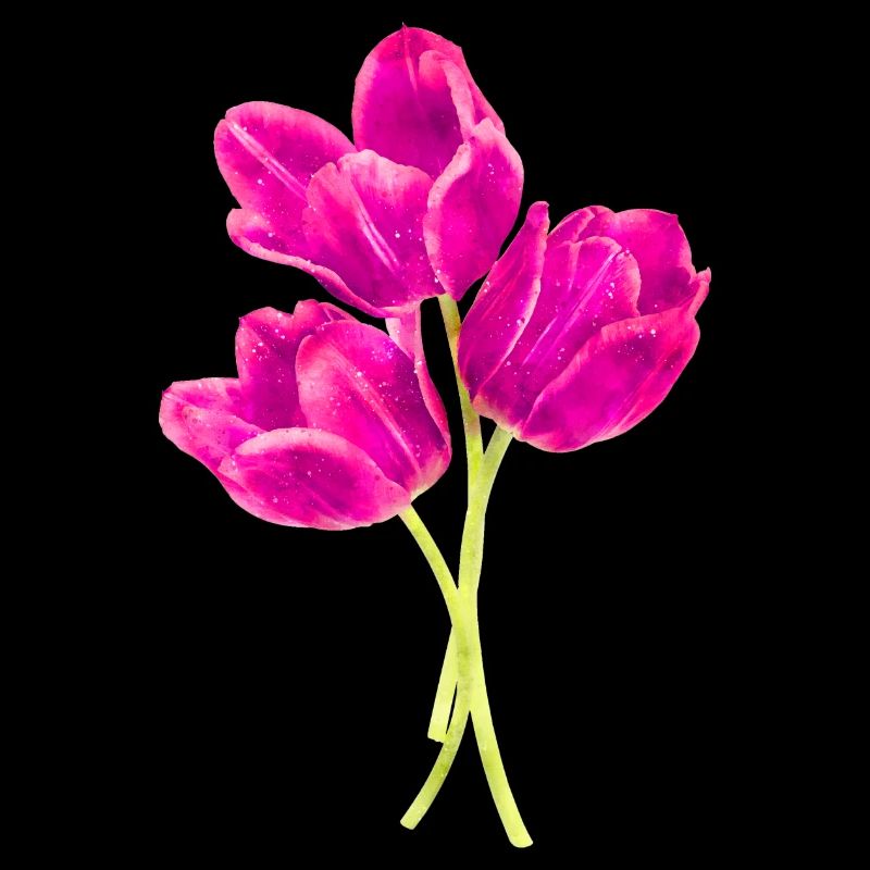 Watercolors Flowers Spring Spring Beginning Tulip