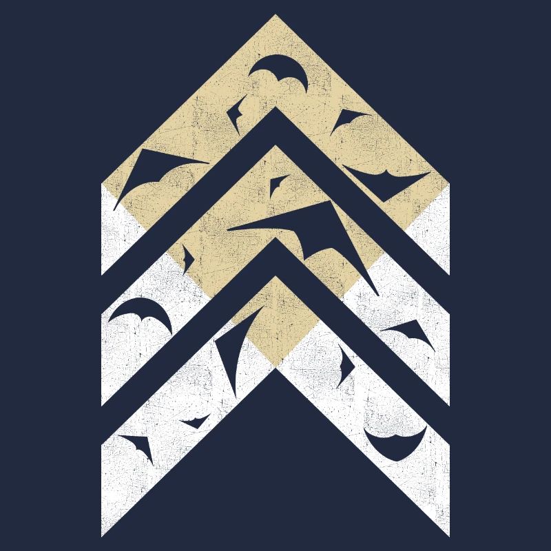 Lenkdrachen
