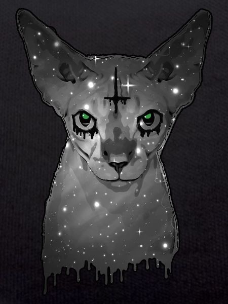 Egyptian cat Sphynx Cat