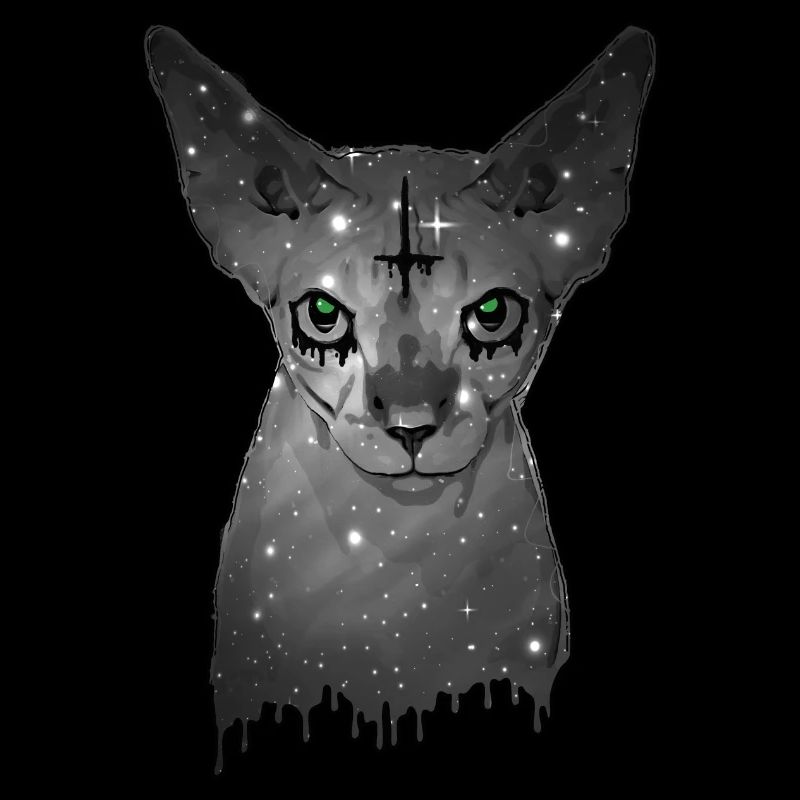 Egyptian cat Sphynx Cat