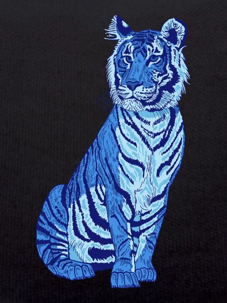Tiger blue