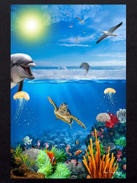 Reef Underwater