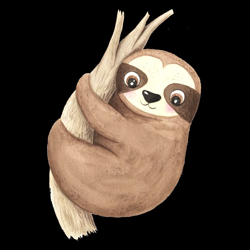 Cute Sloth Baby Amazon Rainforest South America