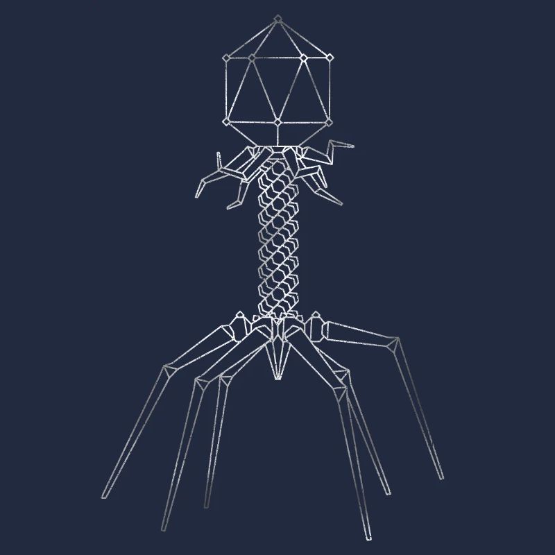 Phages