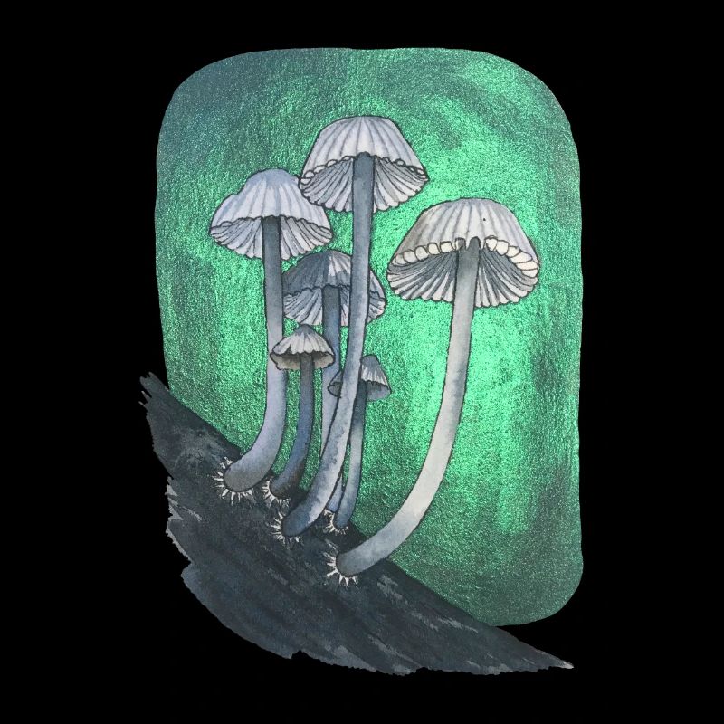 Mushrooms metallics