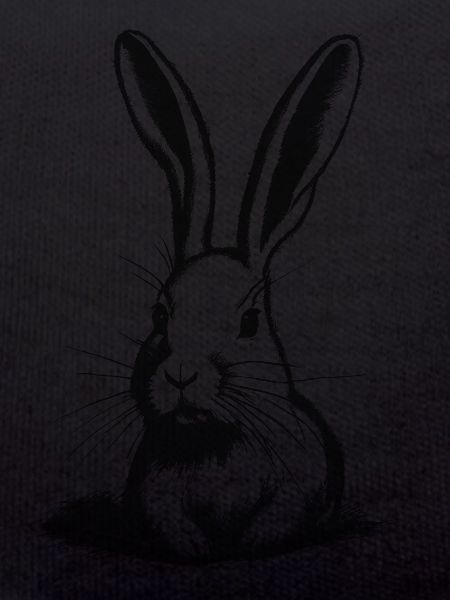 dunke rabbit Easter