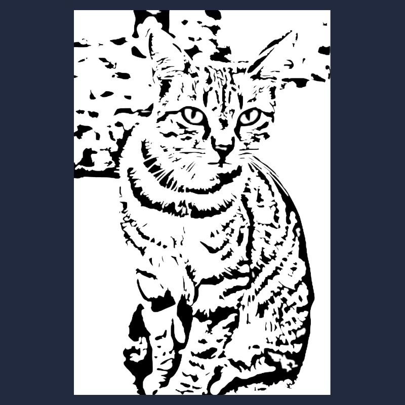 Chat noir et blanc