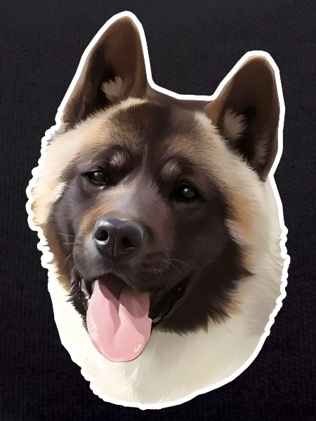 Akita