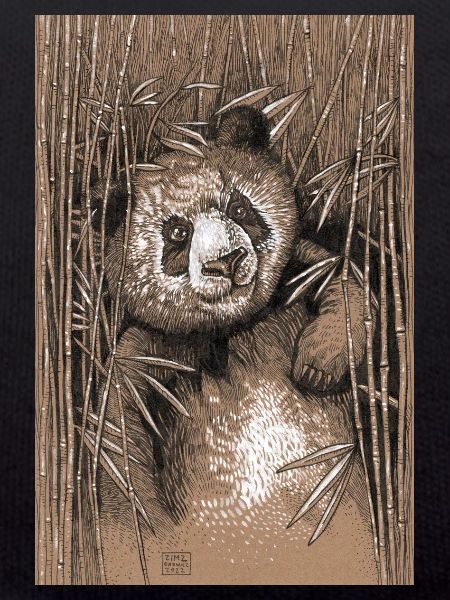 PANDA 02