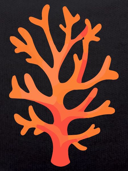 Corail rouge