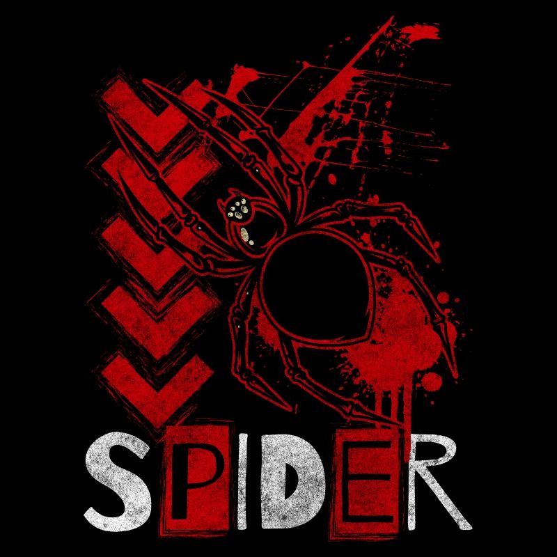 Spiders Arachnid Prey Terrarium