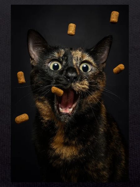 Treat Attack Mode: Activated!