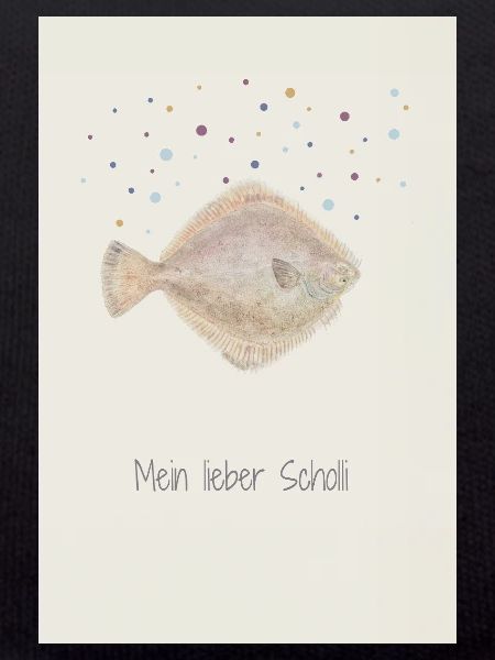 My dear Scholli fish design