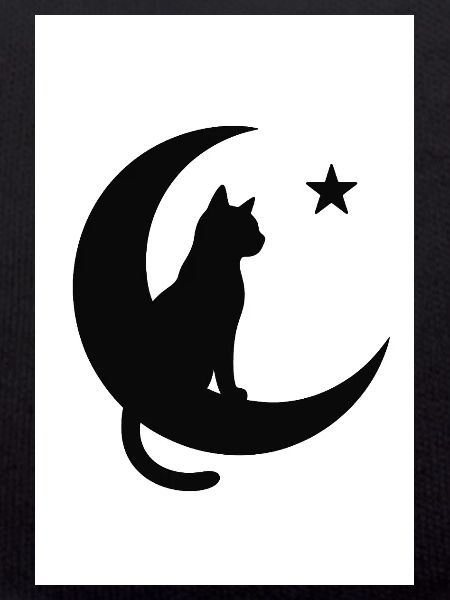 Moon cat on moon shadow