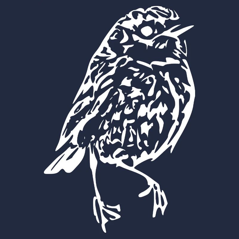 white bird white gift ornithologist