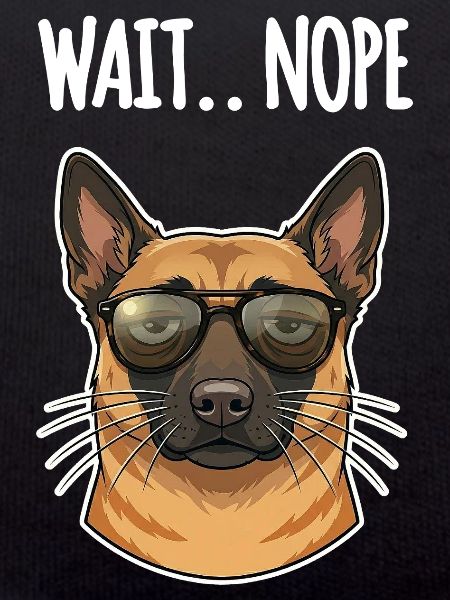 Malinois Nope
