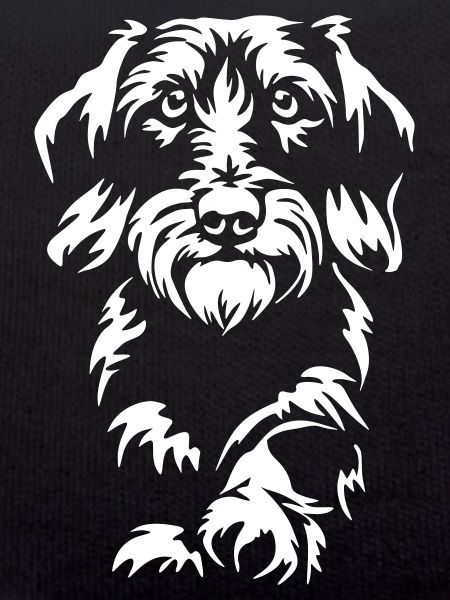 Dachshund "Black Edition"