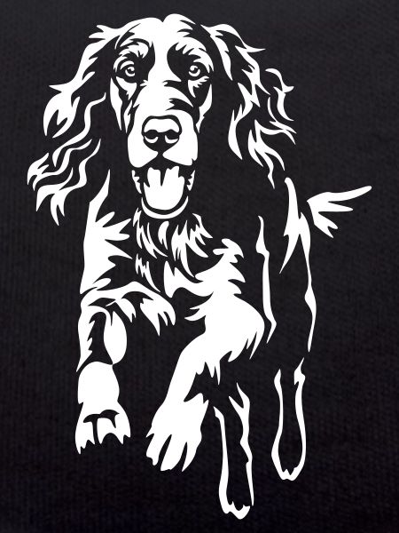 Irish Setter « Édition Noire »