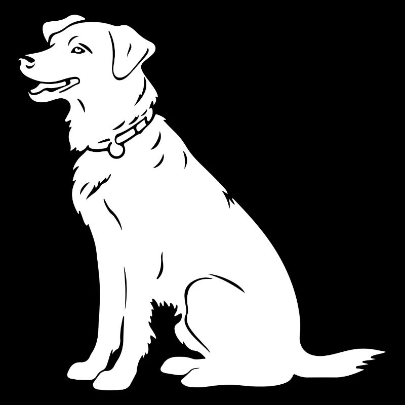 Border Collie Hund Silhouette