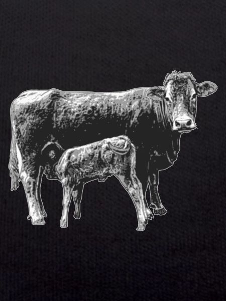 Kuh mit Kalb