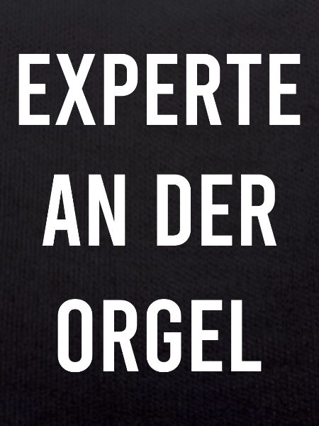 Orgel Organist Experte