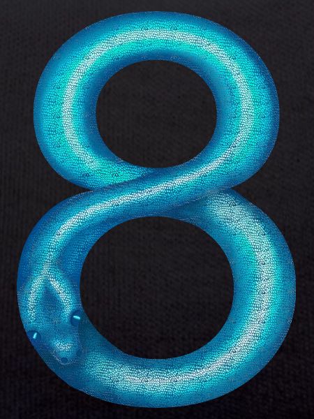 Schlange 8