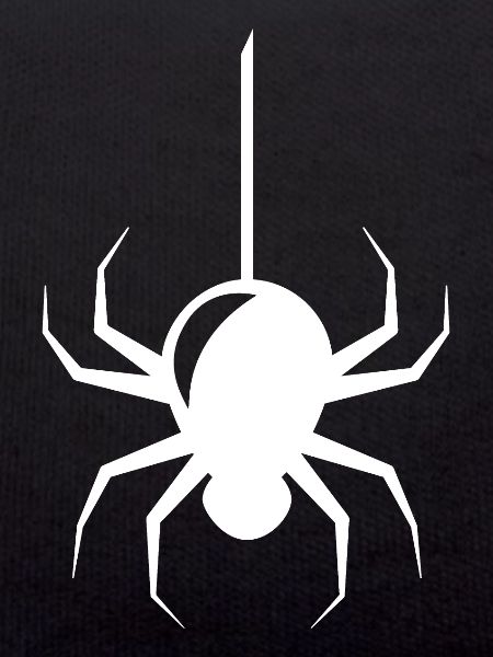 Spinne