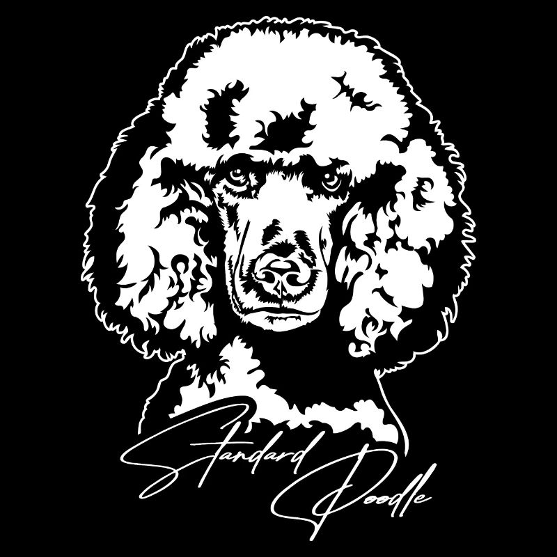 Standard Poodle Portrait Hund Hunde Wilsigns