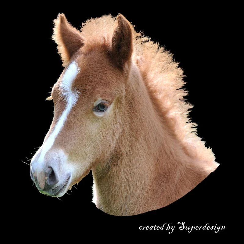 Pferd