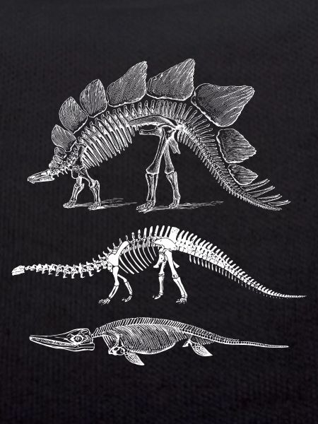 Dinosaur evolution