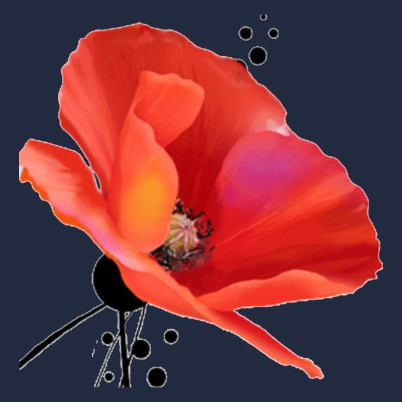 Mohn