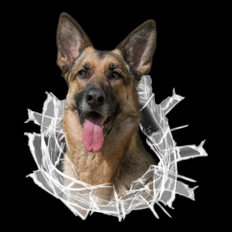 Schäferhund im Glas Loch
