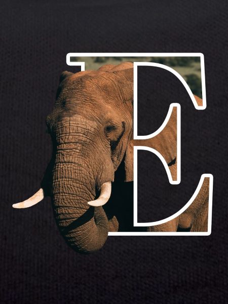 E Elephant alphabet animals